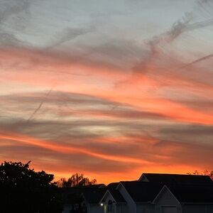 Meet your Posher, Dakota